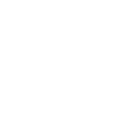 Système de gestion de contenu, Worpress